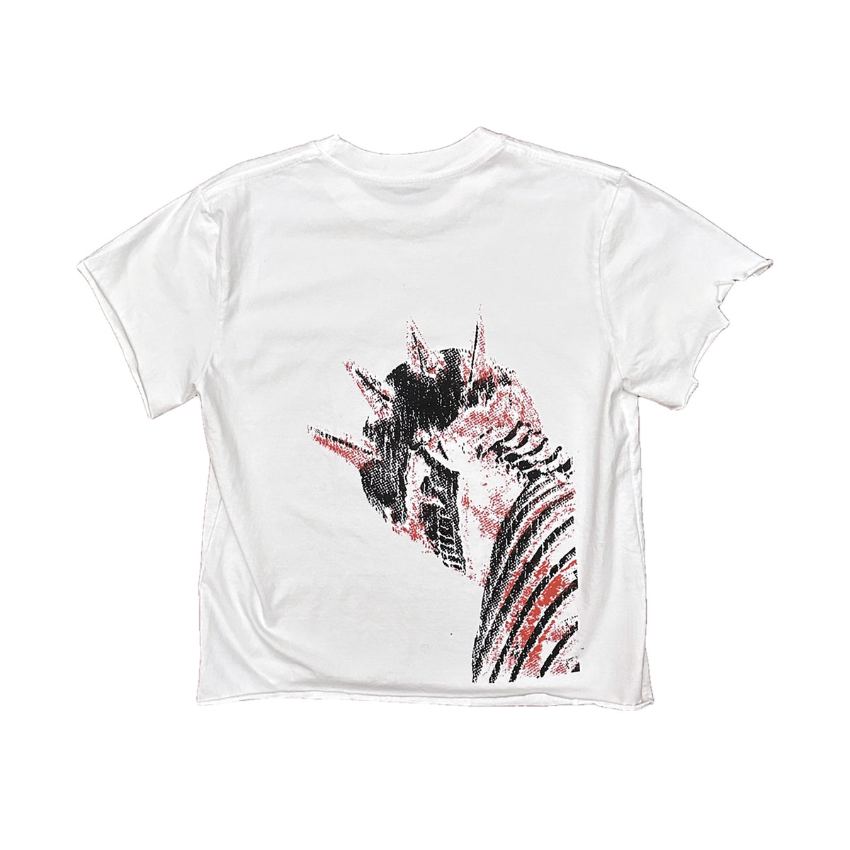 LIBERTY BURN distressed tee — back print