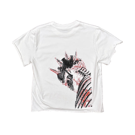 LIBERTY BURN distressed tee — back print